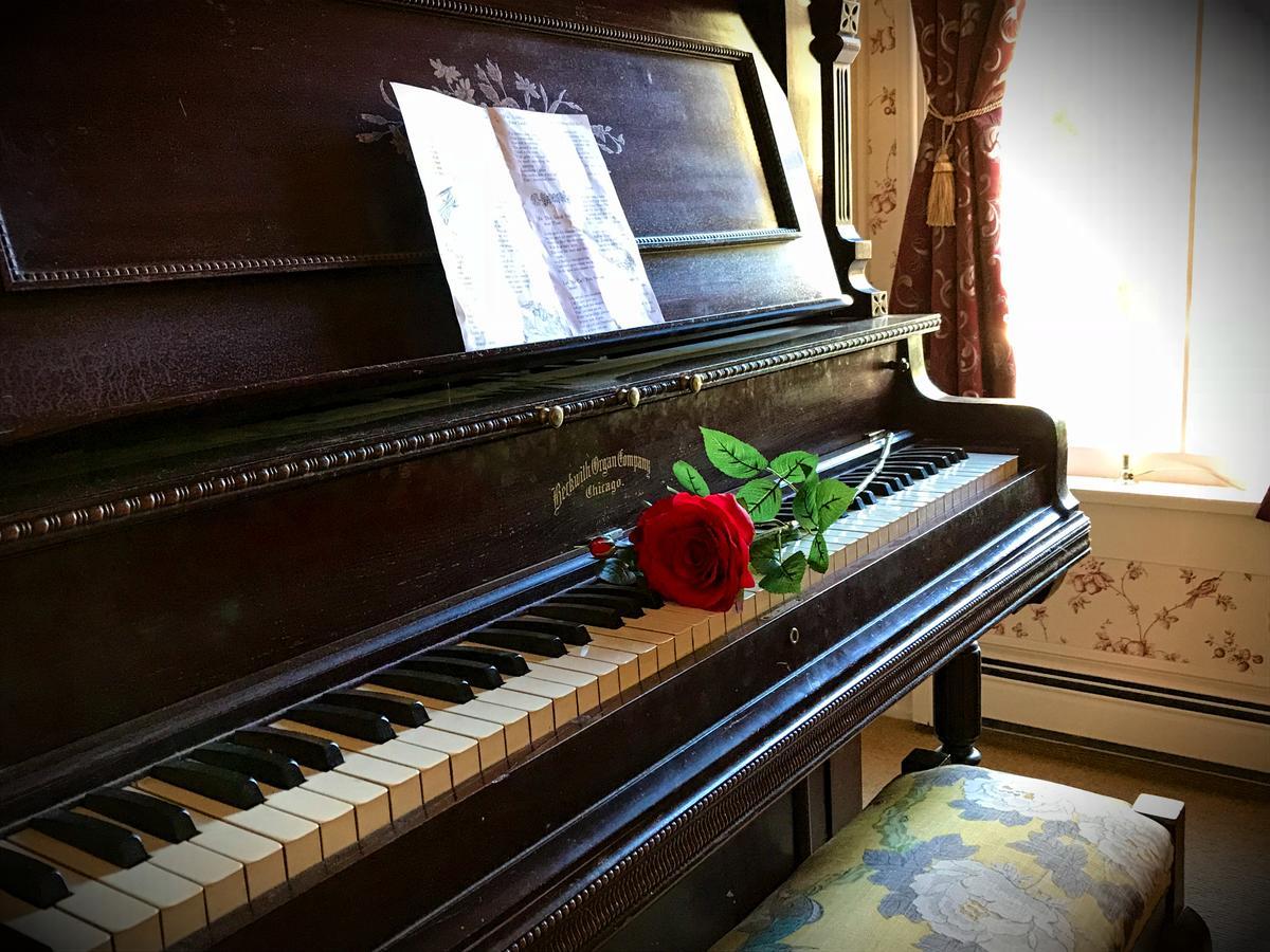 Rose Street Bed & Breakfast Джорджтаун Екстер'єр фото